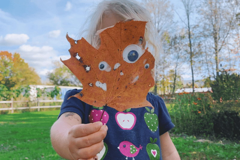 4 Easy Fall Nature Activities for Kids to Enjoy This Season - Knowledge Crates