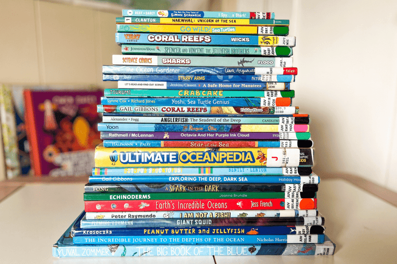 Best Ocean Books for Kids: Picture Books, Nonfiction, & Chapter Books - Knowledge Crates