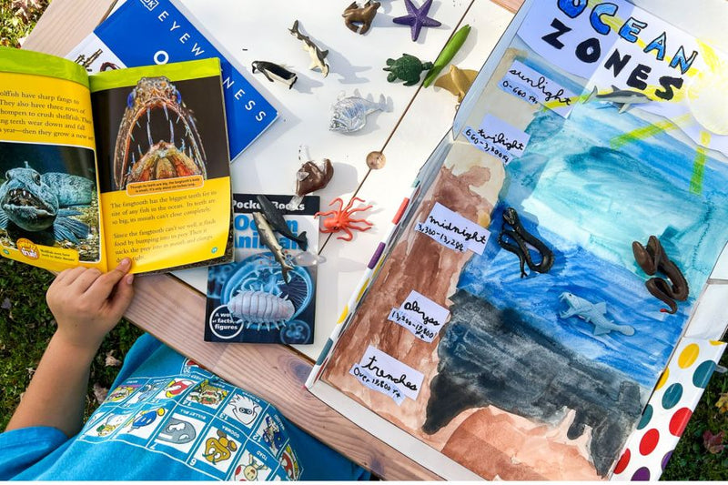 Explore the Deep Sea: Ocean Unit Study for Homeschool - Knowledge Crates