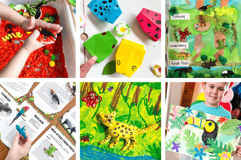 Rainforest Homeschool Unit: Rainforest Crafts, Art, and Hands-On Activities for Kids - Knowledge Crates