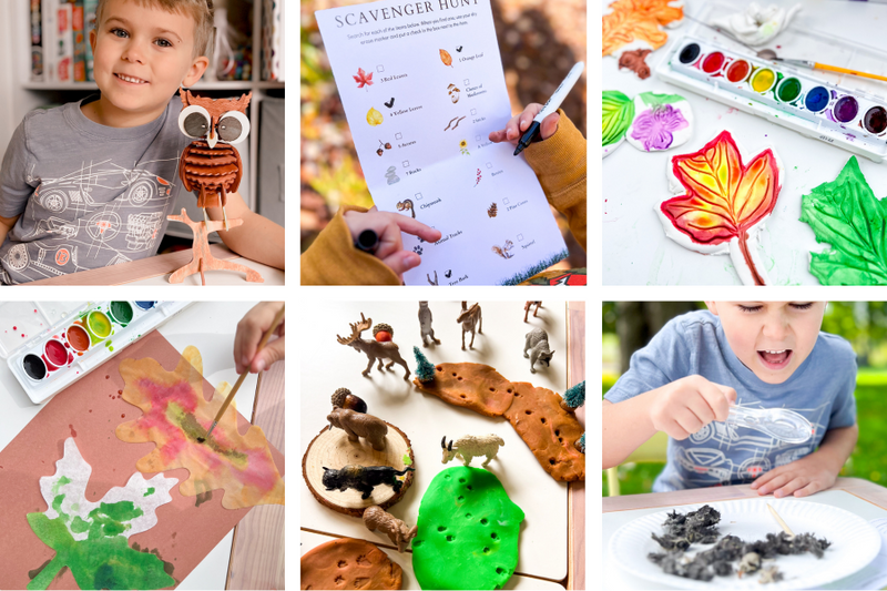 Woodland Activities Hands On Learning Forest Unit for Homeschool