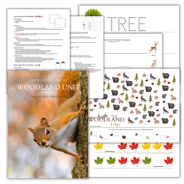 Digital Woodland Pack: Preschool - Knowledge Crates