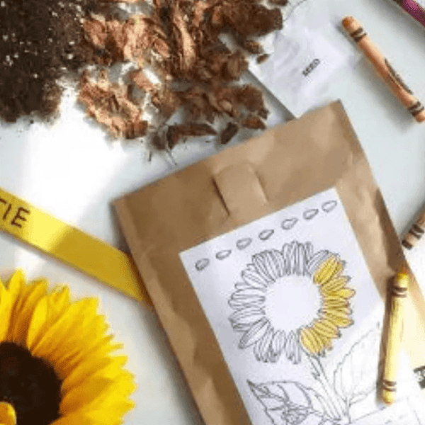 Explore Bees: Preschool - Knowledge Crates