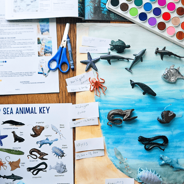 Ocean Unit Study for Elementary Homeschool