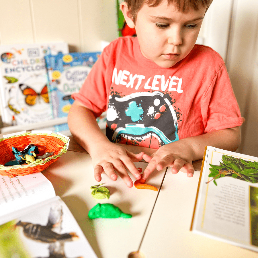 Kids building a rainforest diorama with the Rainforest Homeschool Unit