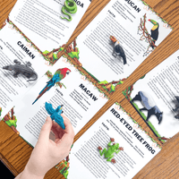 Rainforest Unit Study for Elementary Homeschool Rainforest Animal Fact Cards