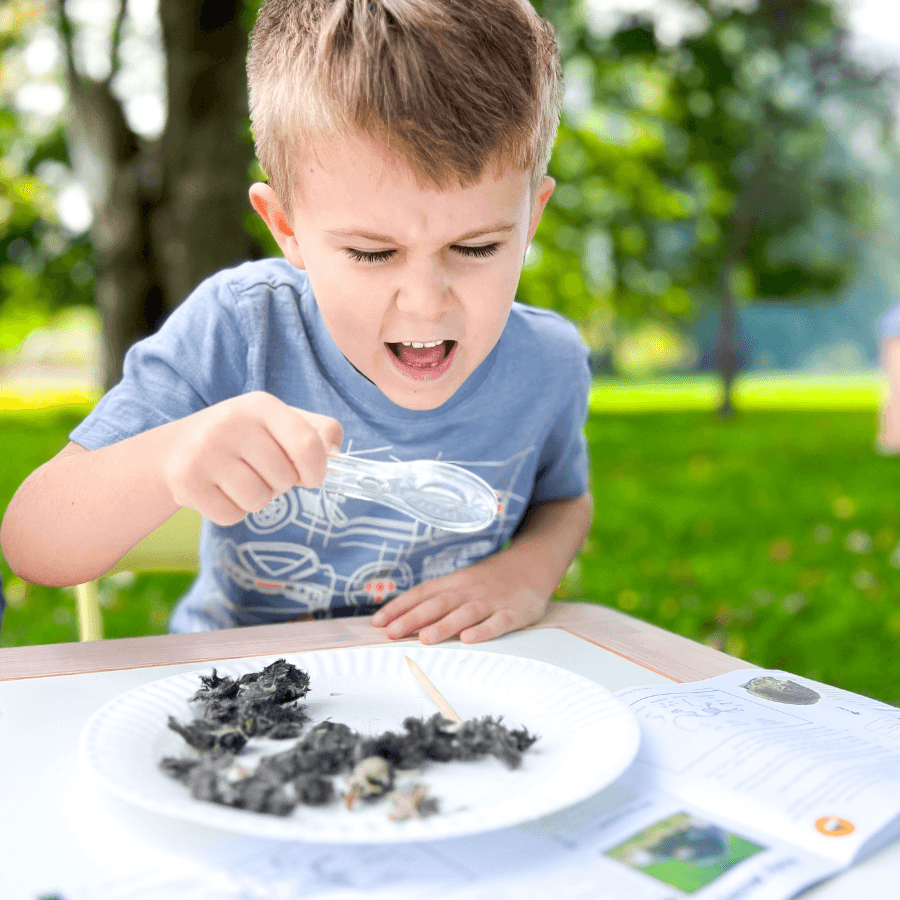 Dissecting an Owl Pellet for Woodlands Unit Study for Elementary Homeschool